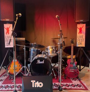<b>Trio-Livemusik</b> <br>3 sæt a 45 minutter