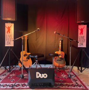 <b>Duo-Livemusik</b> <br>2 sæt a 1 time